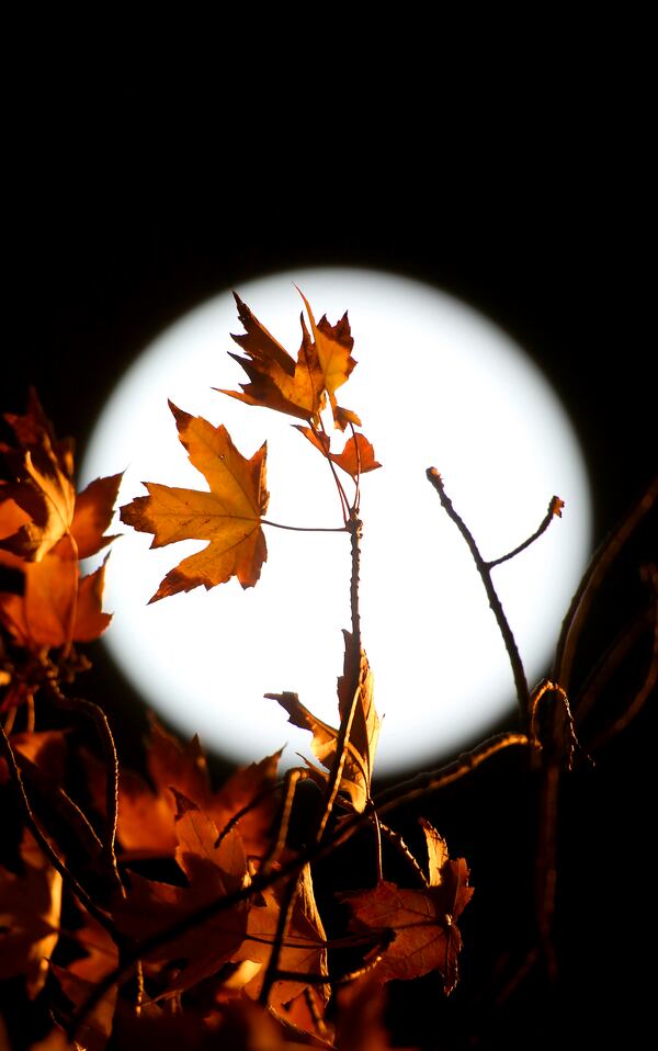 A fall Super moon shines over Dunwoody Monday night. RYON HORNE/RHORNE@AJC.COM