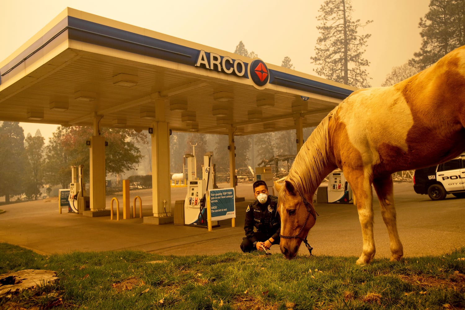 Photos: Deadly wildfires blaze through northern, southern California