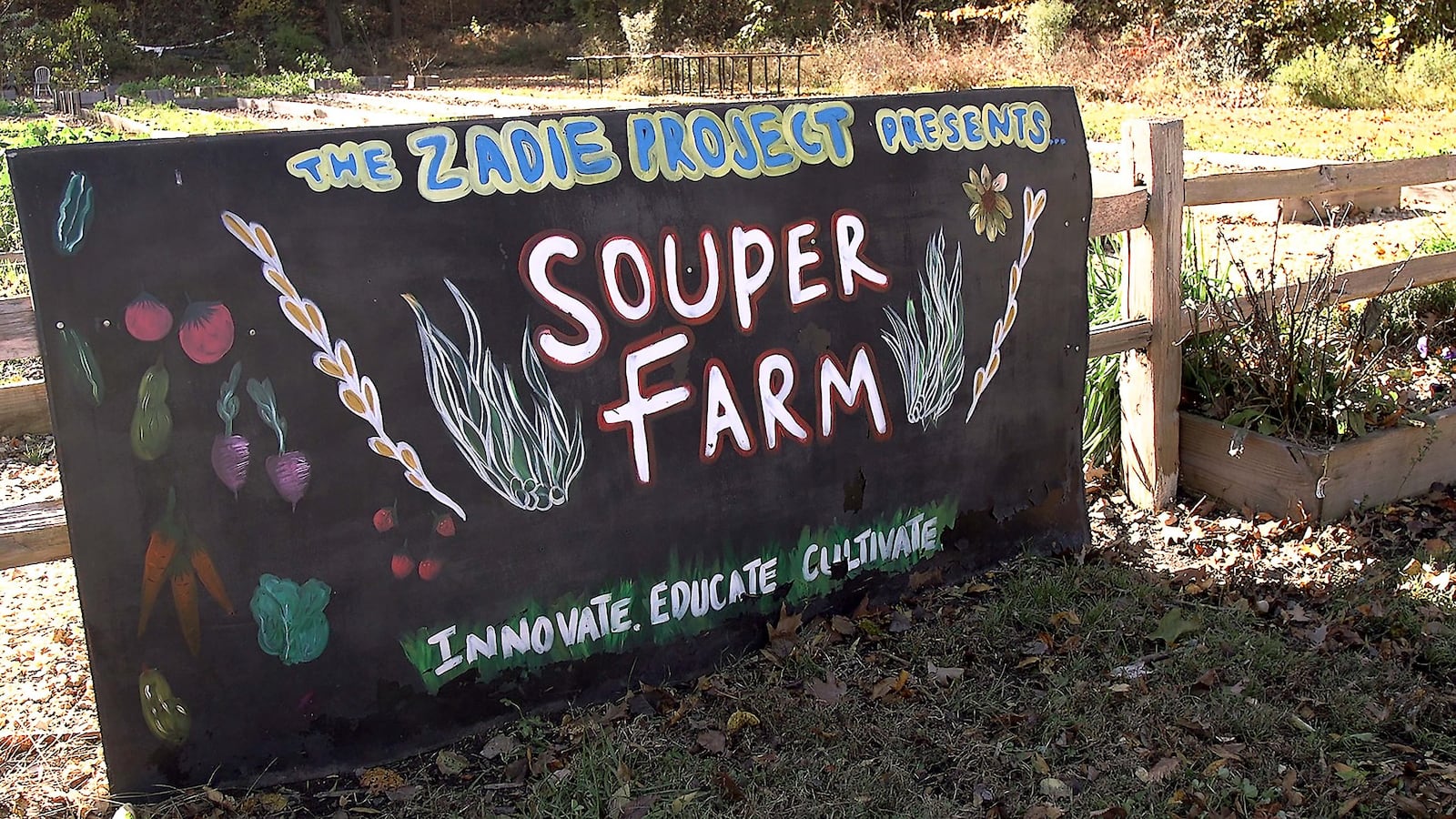 Educational programming at the Souper Jenny Farm focuses on teaching the importance of eating fresh foods. RYON HORNE / RHORNE@AJC.COM