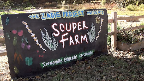 Educational programming at the Souper Jenny Farm focuses on teaching the importance of eating fresh foods. RYON HORNE / RHORNE@AJC.COM