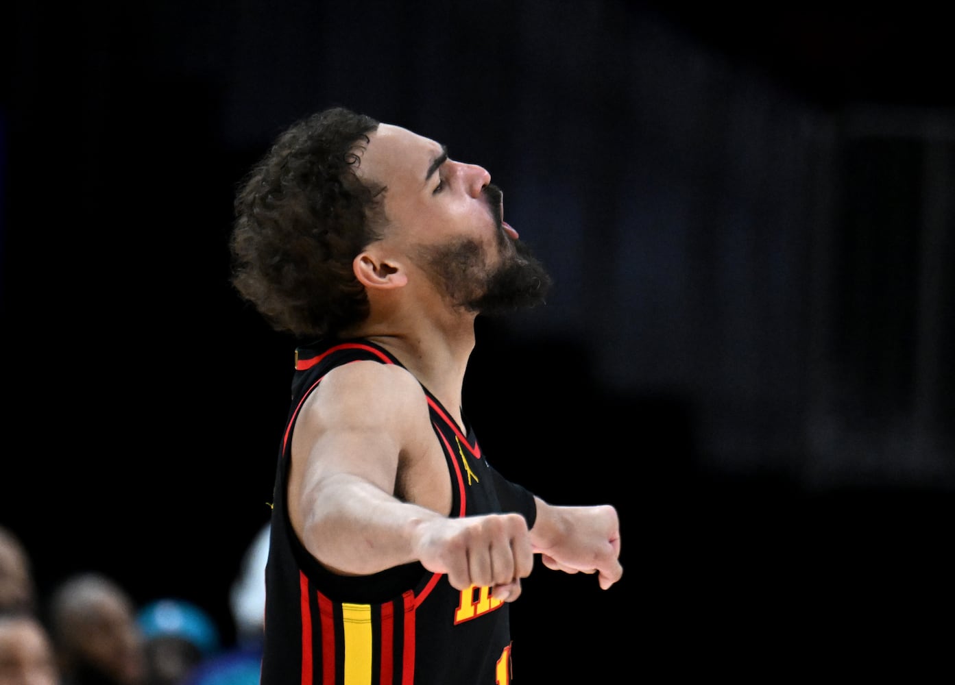 Hawks vs Hornets photo