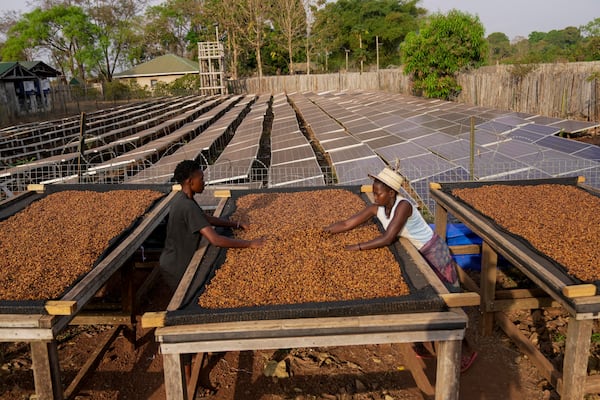 Workers turn excelsa coffee beans to dry near Nzara, South Sudan on Saturday, Feb. 15, 2025. (AP Photo/Brian Inganga)