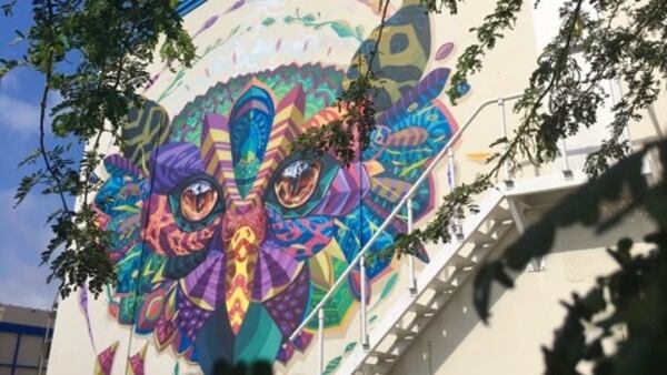 This mural called &quot;Night Watcher&quot; by Mexican street artist, Farid Rueda, features an indigenous Aruban burrowing owl called a Shoco owl. (Courtesy of Aruba Tourism Authority/TNS)