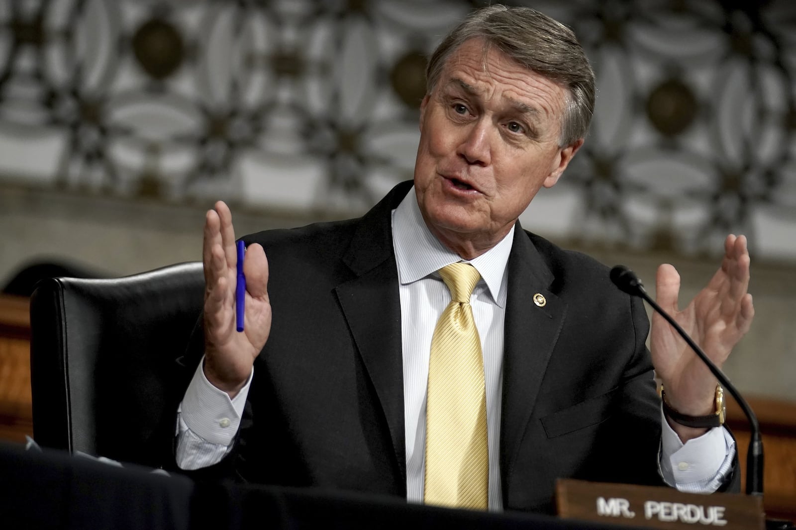 U.S. Sen. David Perdue says that if he wins a second term, his top priorities will be rebuilding the economy and passing police legislation. (Greg Nash/Pool via AP)