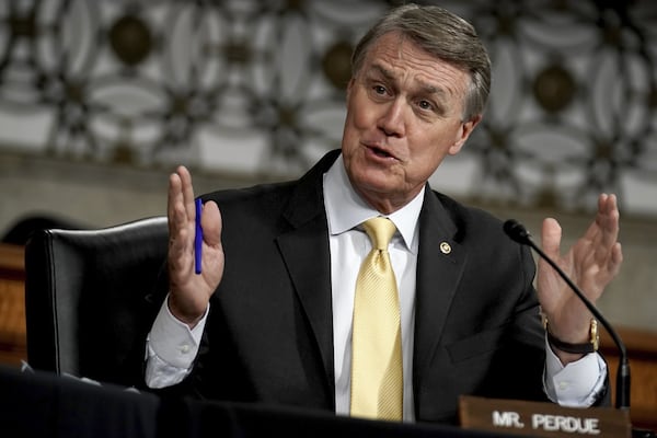 U.S. Sen. David Perdue says that if he wins a second term, his top priorities will be rebuilding the economy and passing police legislation. (Greg Nash/Pool via AP)