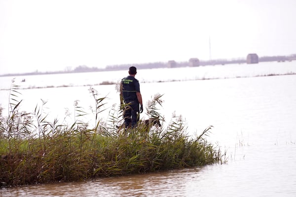 A civil guard and his dog look out onto a lagoon in their search for bodies in el Saler on the outskirts of Valencia, Spain, Wednesday, Nov. 6, 2024 after floods. (AP Photo/Alberto Saiz)