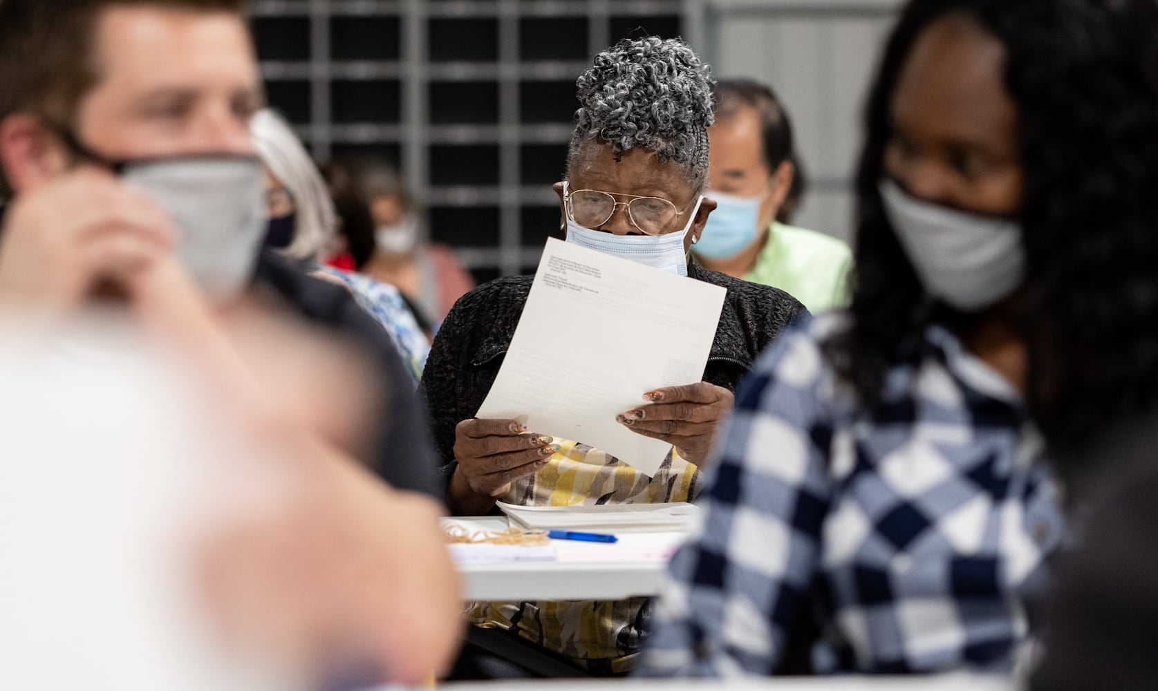 Gwinnett Recount