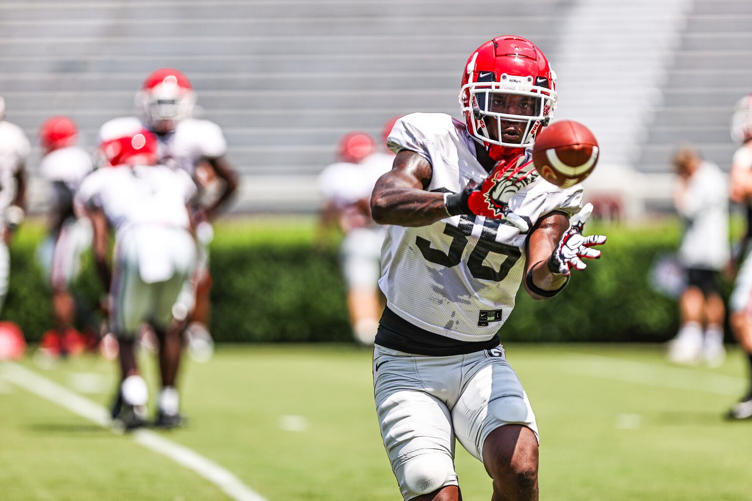 Georgia football practice