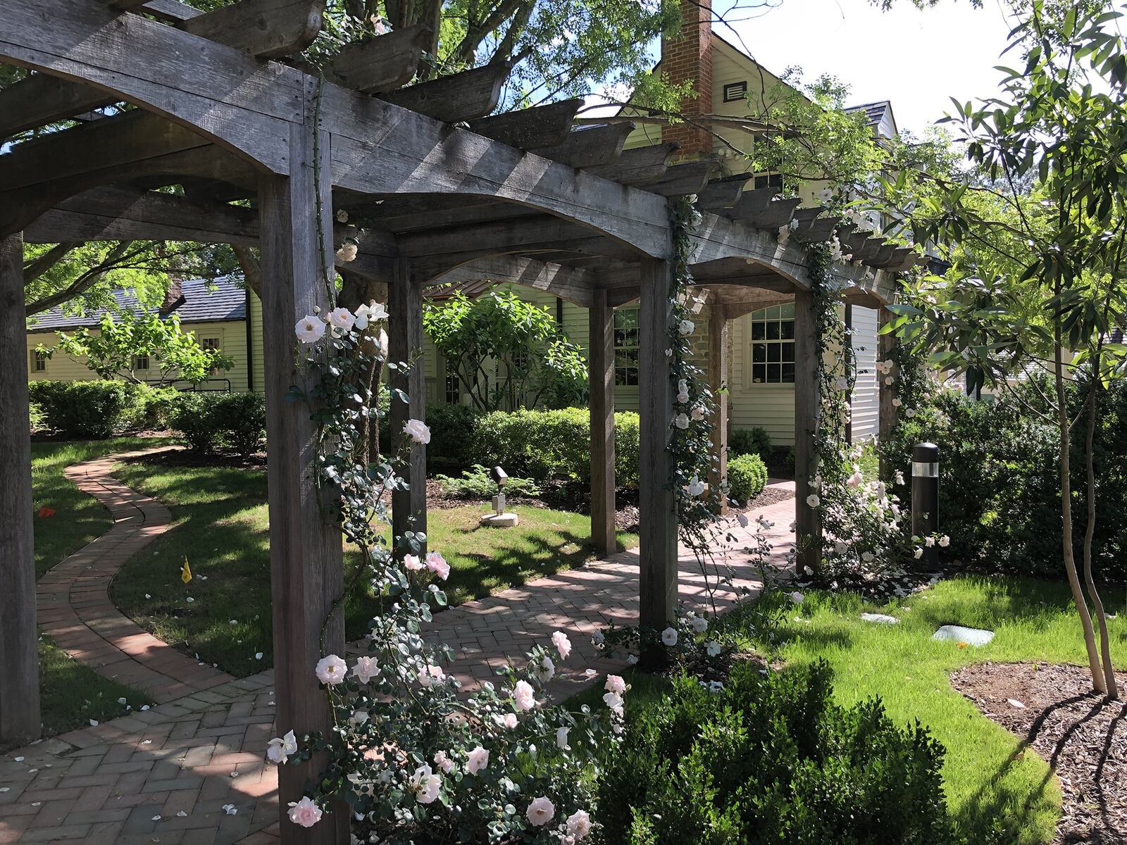 The arbor at Donaldson-Bannister Farm was reconstructed and pink New Dawn roses were re-introduced last year along with some of the surviving roses. Contributed by Dunwoody Preservation Trust