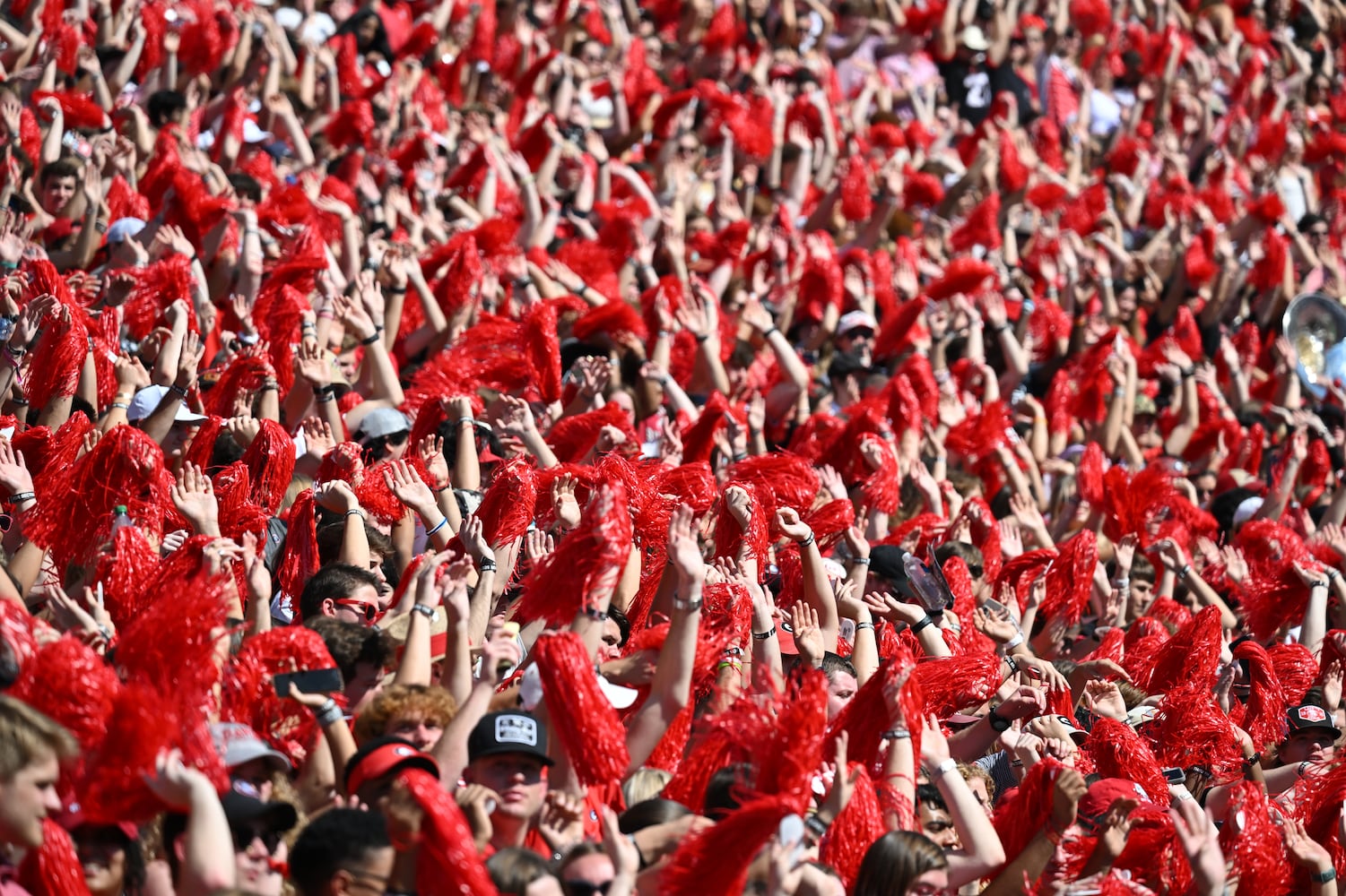 Georgia vs Auburn football