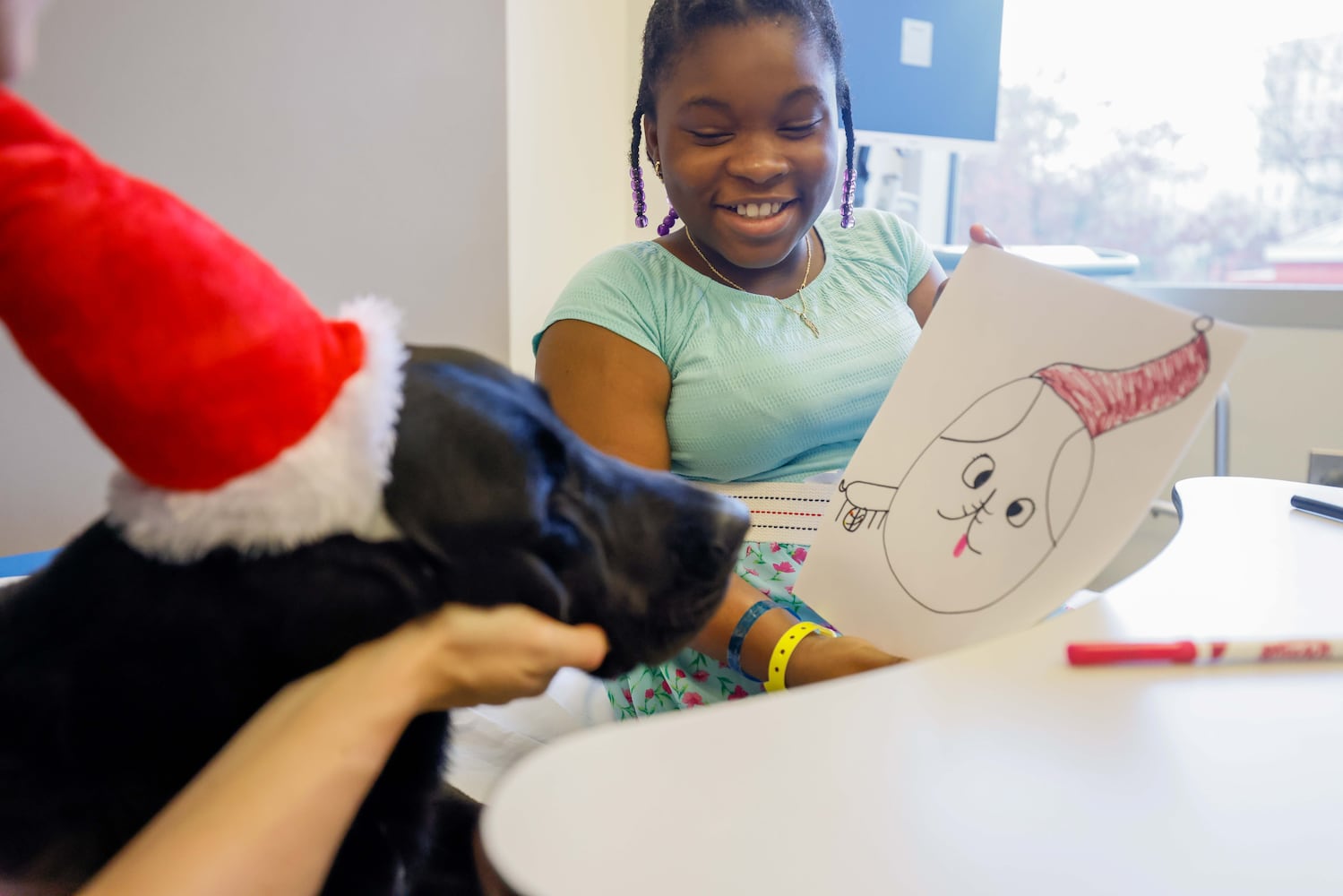 Children's new therapy dog