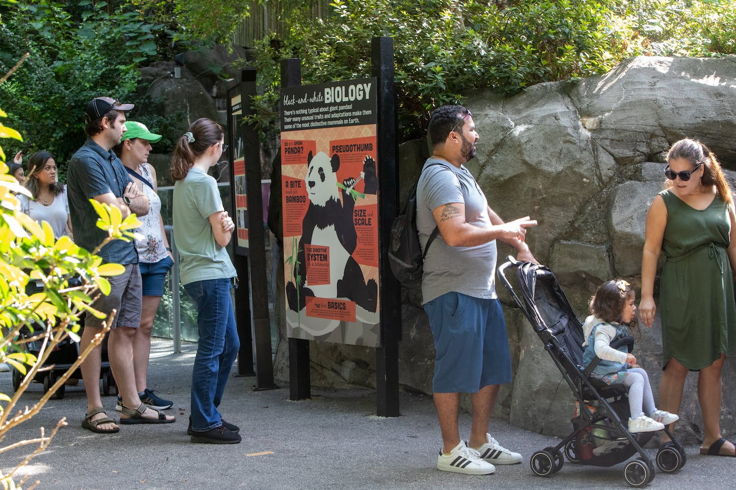 Giant Panda farewell as they go back to China