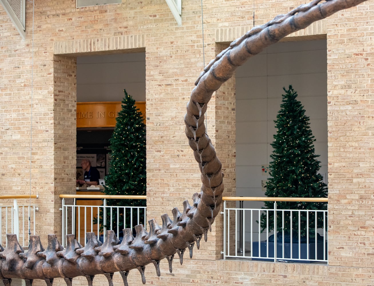 Fernbank Museum prepares for the 15th annual "Winter Wonderland" exhibit Saturday, Nov 16, 2024 where Atlanta cultural partners and representatives of 25 countries decorate Christmas trees for the holiday display. Exhibit opens November 23 and runs through January 12, 2025. (Jenni Girtman for The Atlanta Journal Constitution)