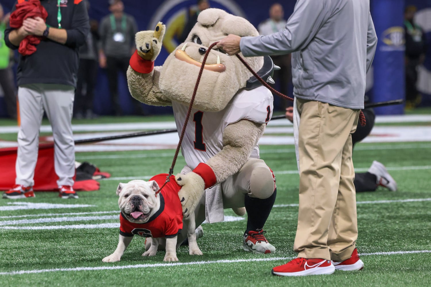 Georgia Bulldogs mascot Uga surveys the football field during the SEC Championship football game at the Mercedes-Benz Stadium in Atlanta, on Saturday, December 2, 2023. (Jason Getz / Jason.Getz@ajc.com)