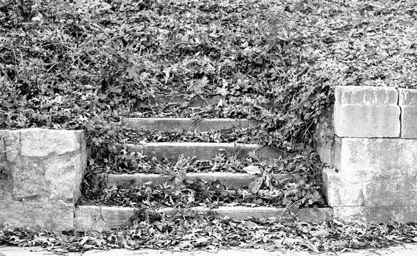 Orphaned stairs rise behind Mary Lin Elementary on North Avenue. Courtesy of Jeremy Fletcher