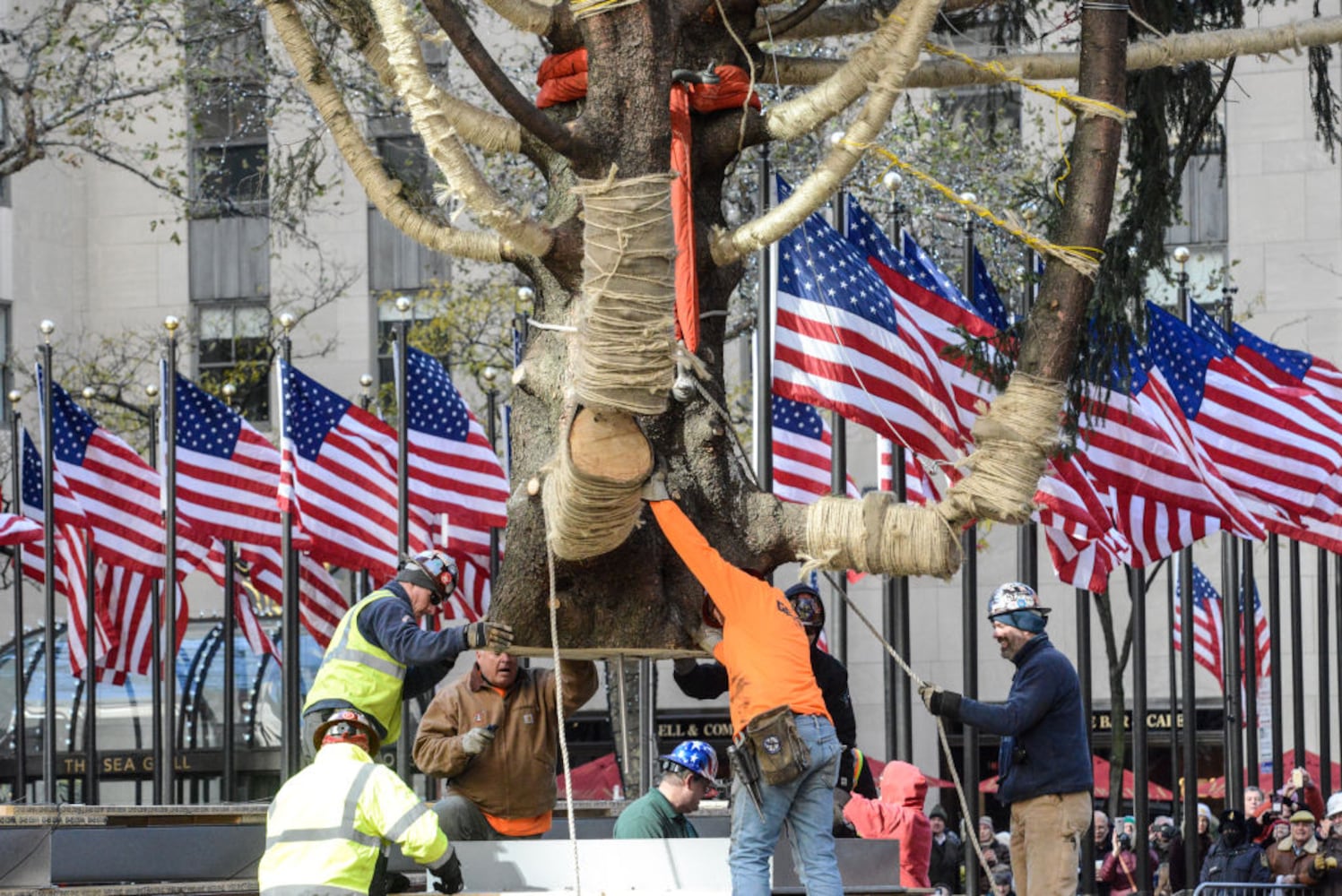 rockefeller center plaza christmas tree