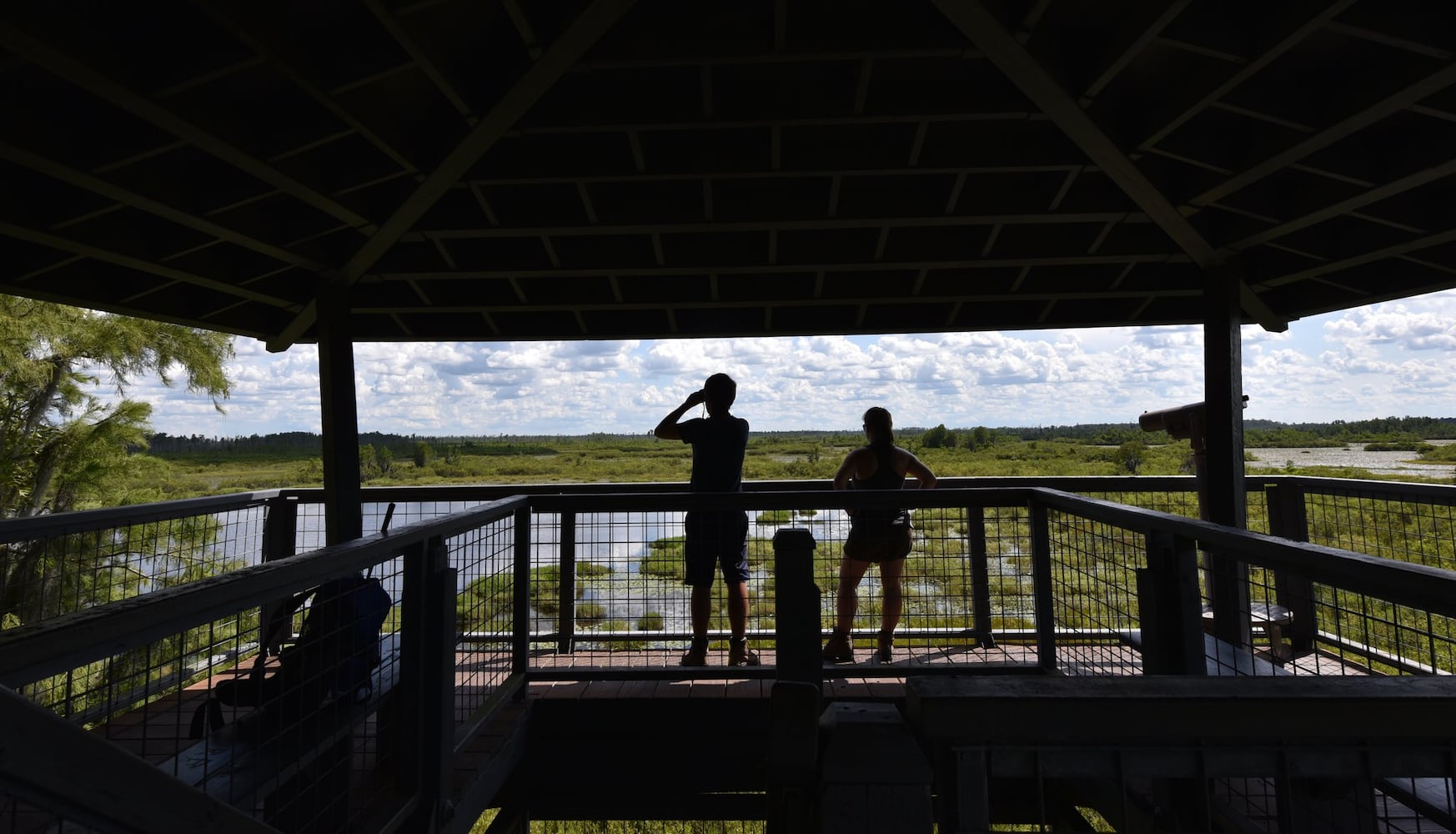 Mining proposal raises concerns about future of Okefenokee Swamp