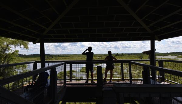 Tourists enjoy the view from the Owls Roost Tower in Okefenokee National Wildlife Refuge in Folkston in August 2019. Residents in the area are concerned that a mining proposal may harm the swamp and the surrounding rivers. They hope Twin Pines Minerals will provide more information about potential impacts of its proposed mining operation. 