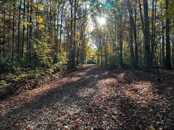 The section of trail at the University of Georgia intramural fields where Laken Riley encountered Jose Ibarra. Riley was killed on February 22, 2024. Ibarra was convicted of murder on November 20, 2024 and sentenced to life in prison without the possibility of parole.