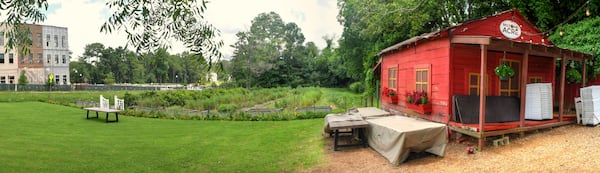 Overview of Milton's Acre fruit and veggie garden just behind Milton’s Cuisine & Cocktails in Milton. (Chris Hunt for the AJC)