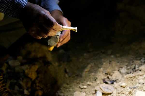 Takamatsu Gushiken, a "gamafuya," an Okinawa dialect meaning a person who digs in a cave, shows a piece of foot bones he found in the past, while in a cave in Itoman on the main island of the Okinawa archipelago, southern Japan, Saturday, Feb. 15, 2025. (AP Photo/Hiro Komae)