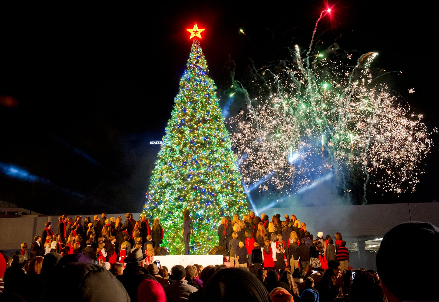 Macy's Great Tree 2013