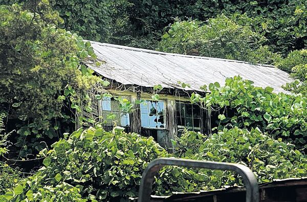 The remnants of the Fairview Colored School, built in 1925, are almost swallowed by kudzu, so reviving the building won’t be a simple job. “We can still learn from that school. But first we’ve got to save it,” says Joyce Smith, who began the preservation campaign.