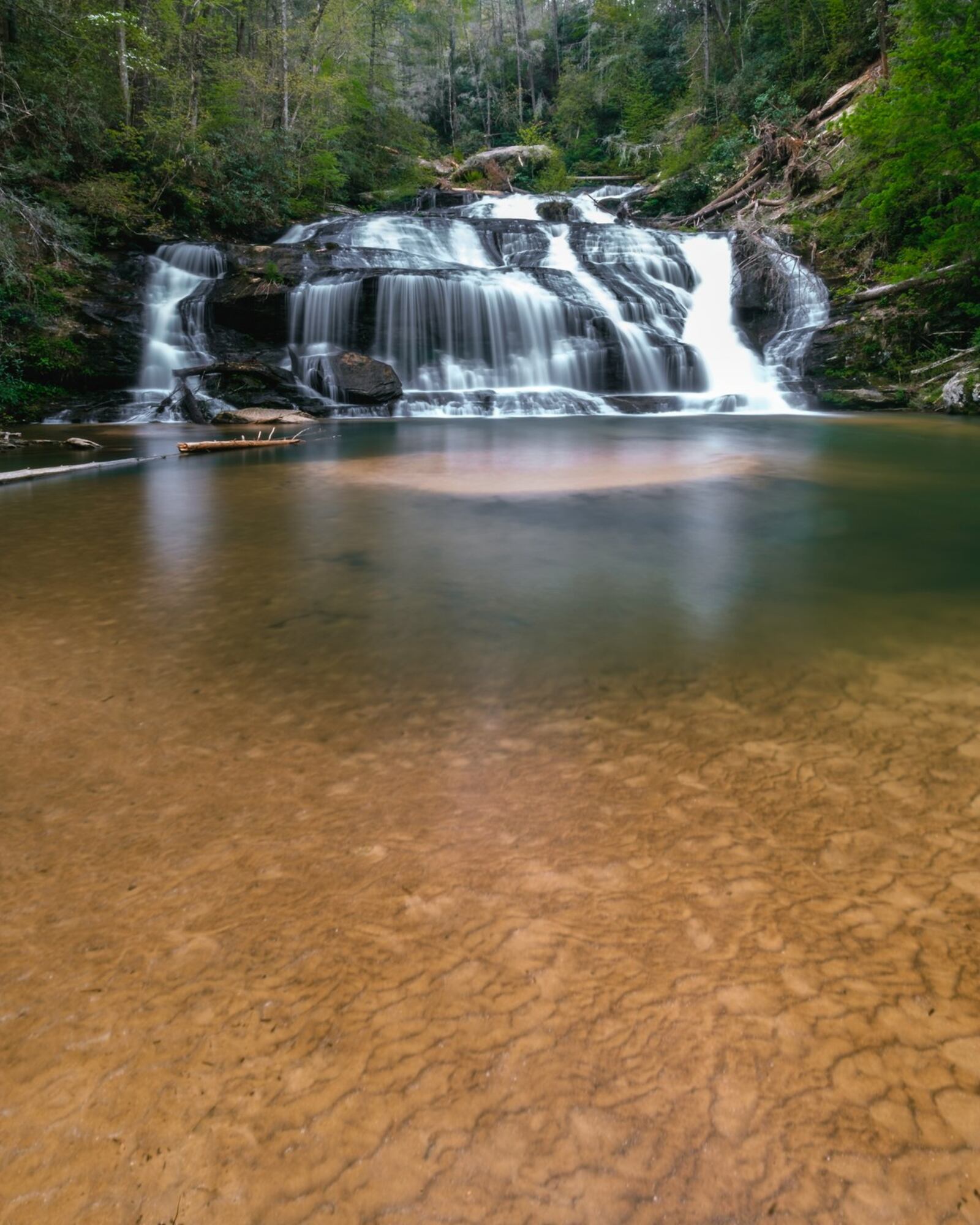 Hikers admire the at Lula Lake Land Trust. Contributed by Kaleb East Photography