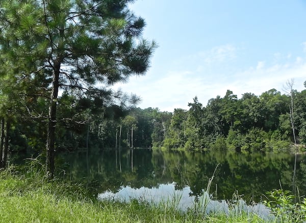 Elephant Refuge North America's property includes two lakes. Photo credit: Elephant Aid International