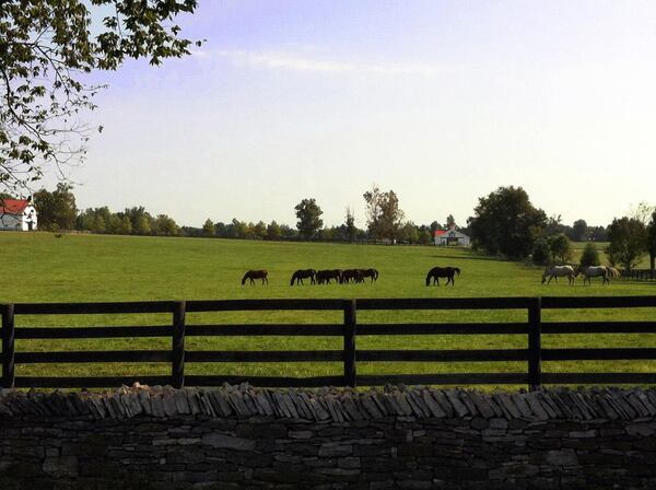 Lexington, Ky., country roads are lined with stone-and-plank fences framing rolling emerald pastures and world-famous thoroughbreds. CONTRIBUTED BY VISITLEX STAFF