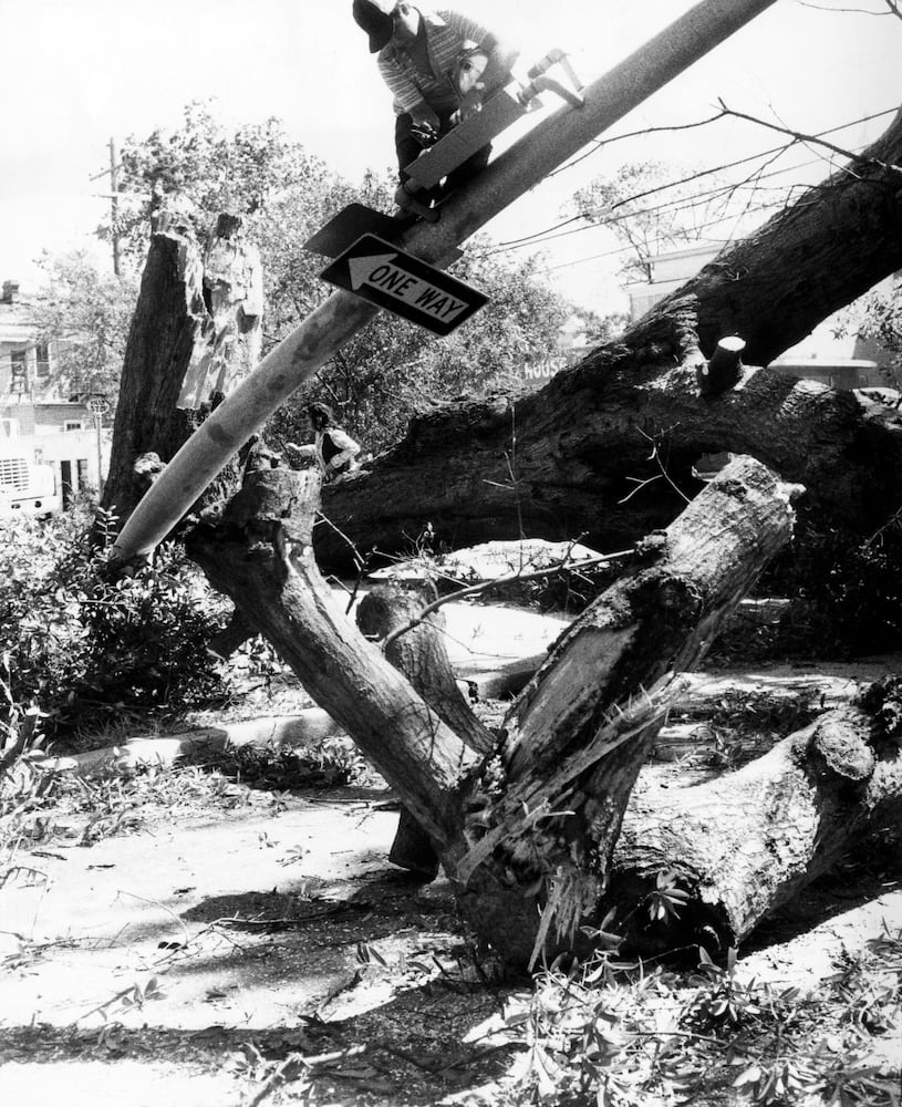 Flashback Photos: Hurricane David hits Savannah in 1979