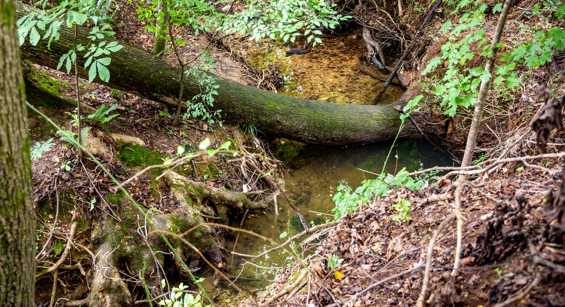 Medlock Bridge in Johns Creek errosion, run off and neglect since the city’s formation has prompted a utility fee to begin to addrss the problem.