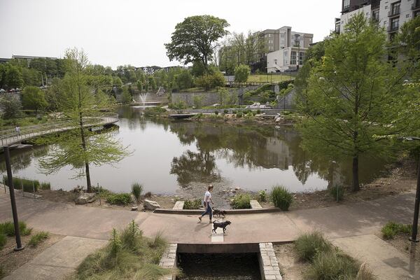  A woman walks her dogs at the Historic Fourth Ward Park in Atlanta’s Old Fourth Ward community. (ALYSSA POINTER/ALYSSA.POINTER@AJC.COM)