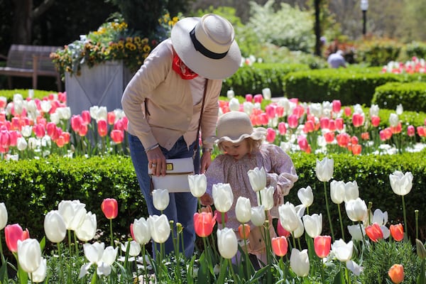 Visitors to Atlanta Botanical Garden during Atlanta Blooms in 2024 admire the flowers.