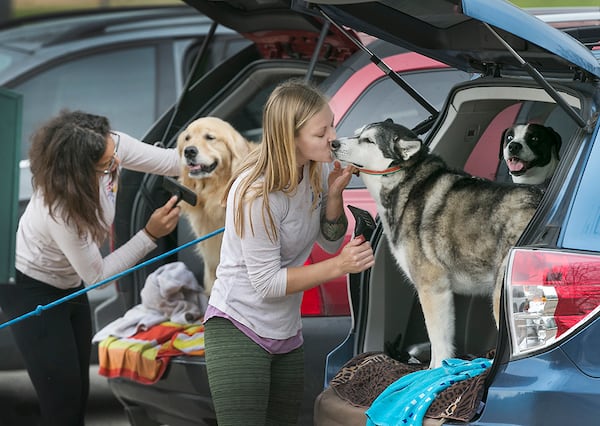  Emily Howard, right, gives Ruca a kiss on the snout as she cleans her after a play day in the park with friend Georgia, left, being pruned by Corlean Reed. RALPH BARRERA / AMERICAN-STATESMANSTATESMAN