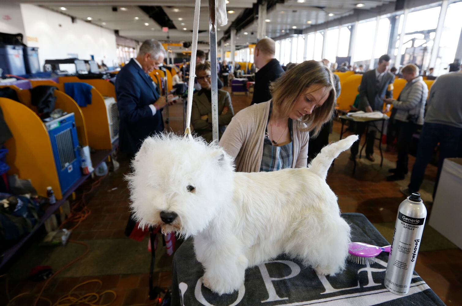 Photos: Westminster Dog Show 2018: Bichon frisé Flynn crowned best in show