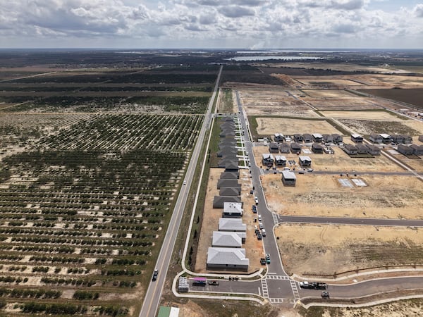 New homes are under construction in former citrus groves, Tuesday, Feb. 18, 2025, in Lake Wales, Fla. Many growers are selling their citrus groves after years of hurricanes, freezes and the devastating effects of citrus greening. (AP Photo/Daniel Kozin)