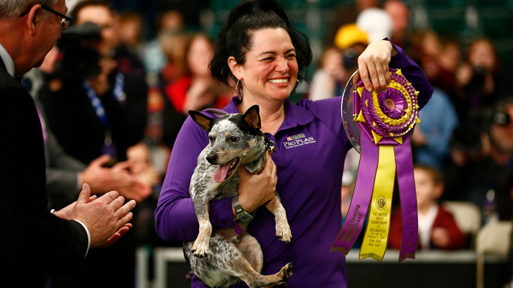 2019 Westminster Dog Show