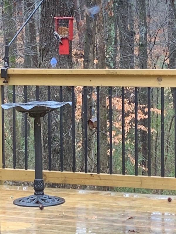 Joan Coppolino of Marietta shared this photo she calls "Waiting in line for breakfast on a rainy morning."