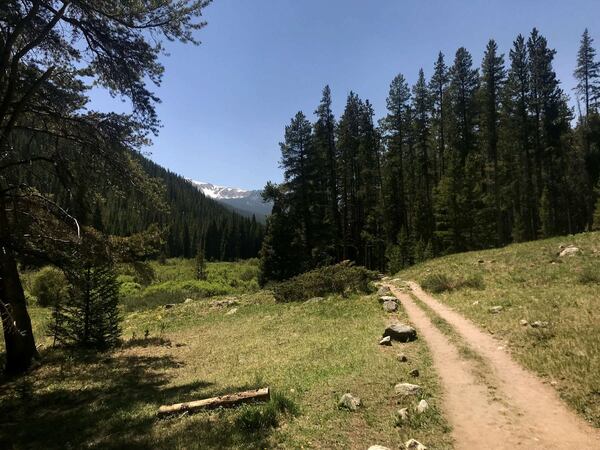 Hikers walk through pine forests while taking in mountain views on the North Tenmile Creek trail in Frisco, Colo. Contributed by Keri Wiginton