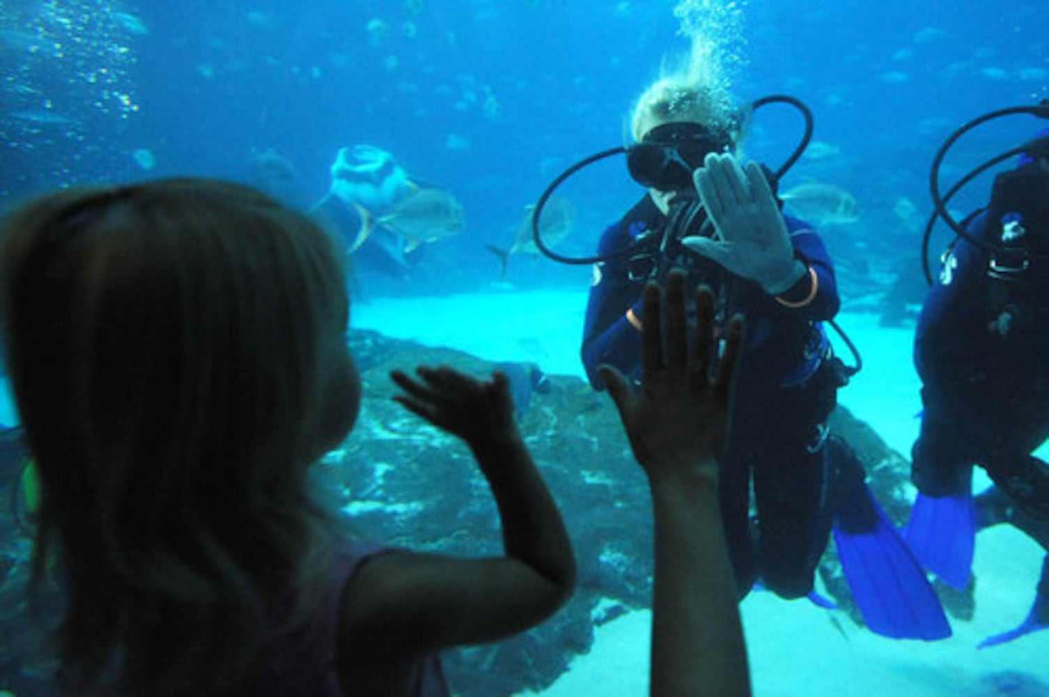 Miss Georgia swims at Georgia Aqarium