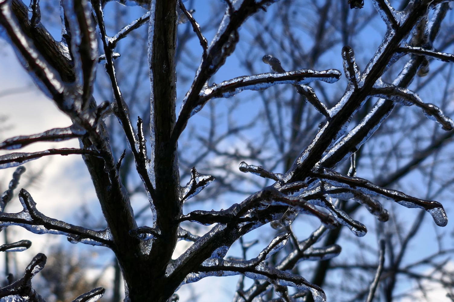 Snow and ice hit Atlanta