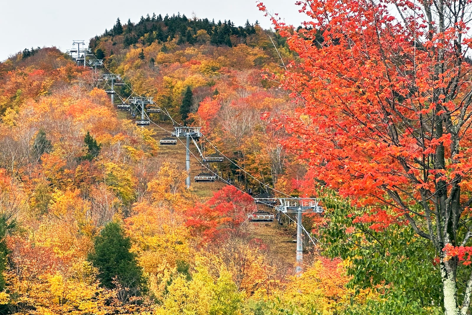 Fall colors are displayed on Loon Mountain near Lincoln, N.H., Tuesday, Oct. 15, 2024. (AP Photo/Nick Perry)