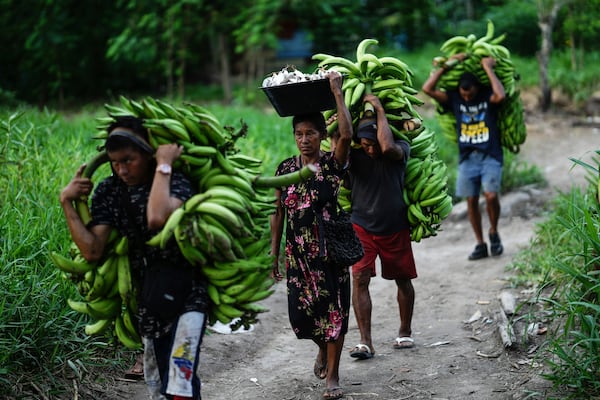 FILE - A group of men and a woman carry bananas and fish from the port, in Leticia, Colombia, Oct. 21, 2024. (AP Photo/Ivan Valencia, File)