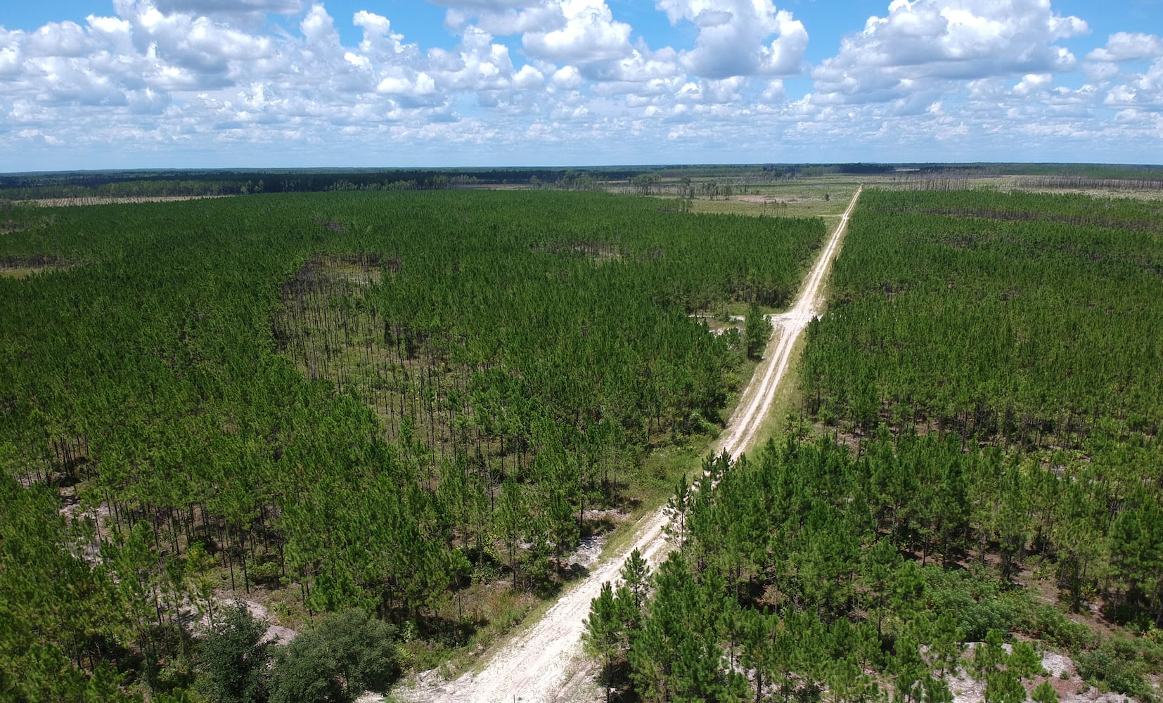 Opposition growing to Okefenokee  mine