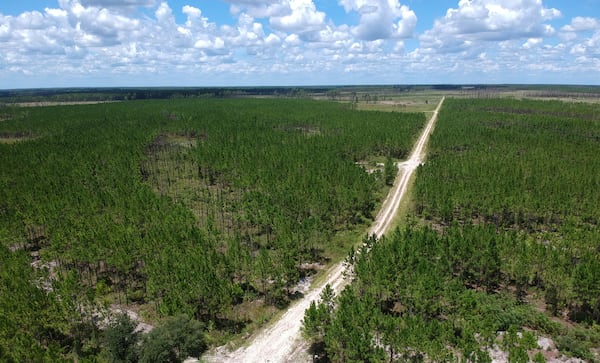 Aerial photography shows a portion of Trail Ridge and a proposed titanium mining site on the southeastern edge of the Okefenokee Swamp on Tuesday, August 6, 2019. Experts have warned that mining in the area risks disrupting the swamp's fragile ecosystem and endangered wildlife. (Hyosub Shin / Hyosub.Shin@ajc.com)