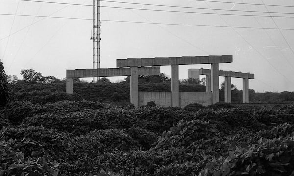 Overpasses compete with kudzu. Courtesy of Jeremy Fletcher