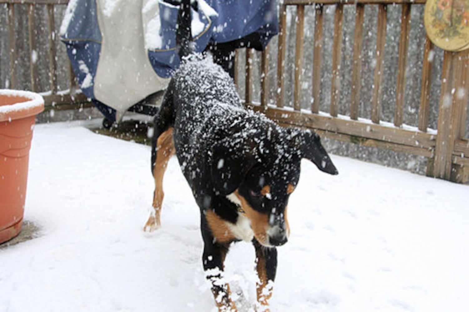 Atlanta weather | Christmas snow