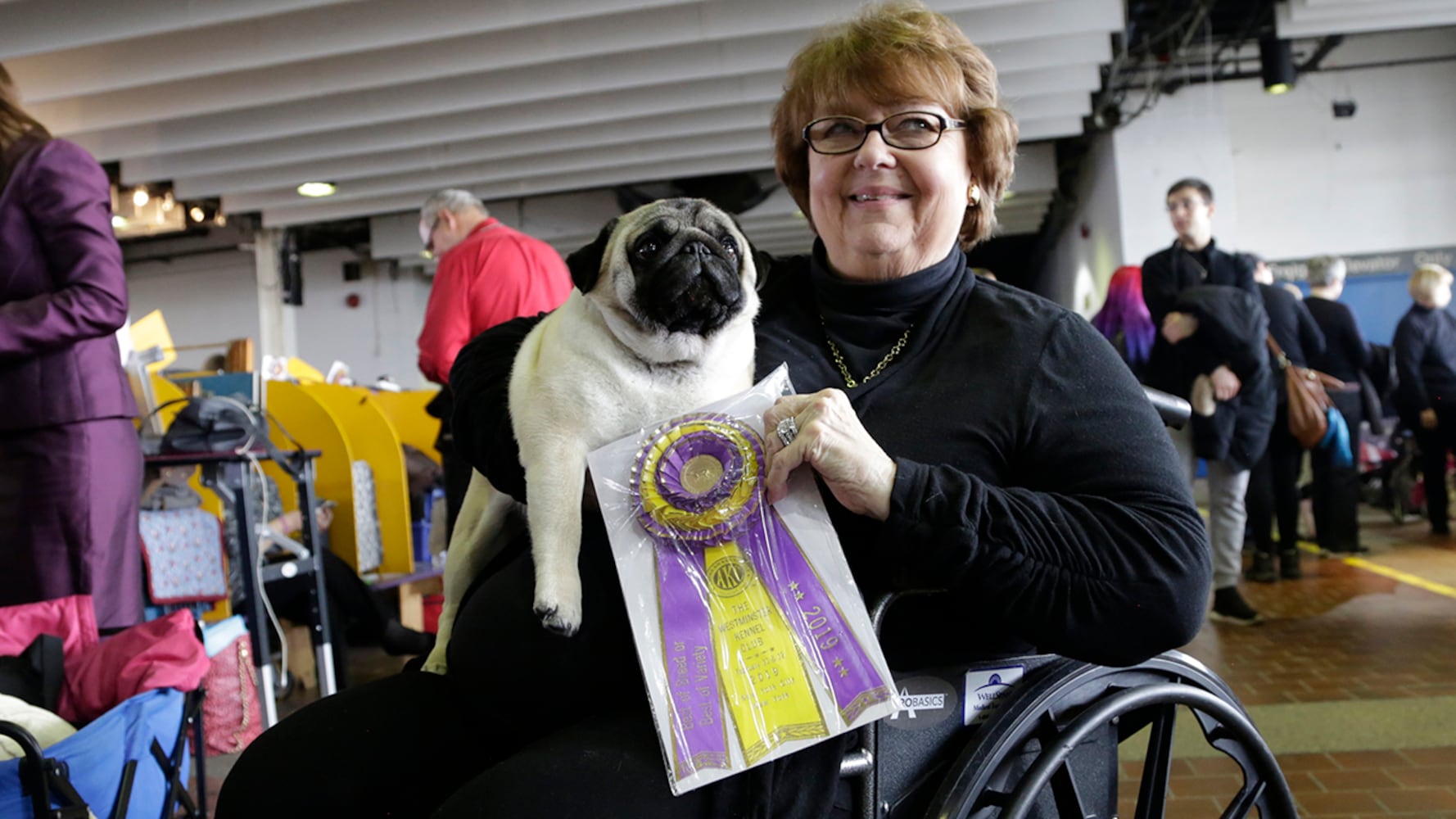 2019 Westminster Dog Show