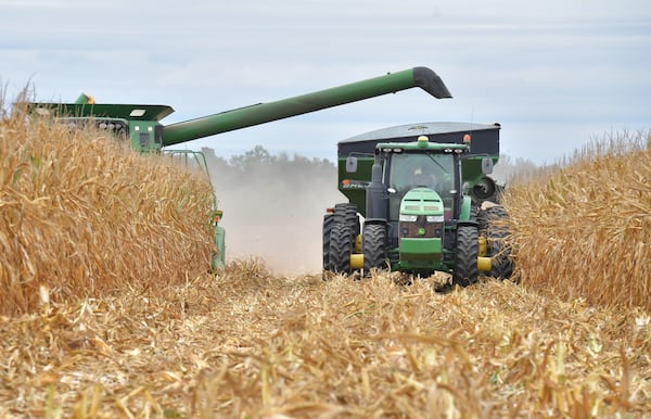 Workers harvest field corn in Vada, Georgia, in 2019. Farmers are getting some of the highest government payments they have ever seen to subsidize them for Chinese trade war losses and for coronavirus relief. (Hyosub Shin / Hyosub.Shin@ajc.com)